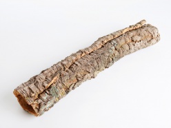 Korková kůra Iguania - tubus