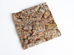 Obkladový korek Tegula - velký